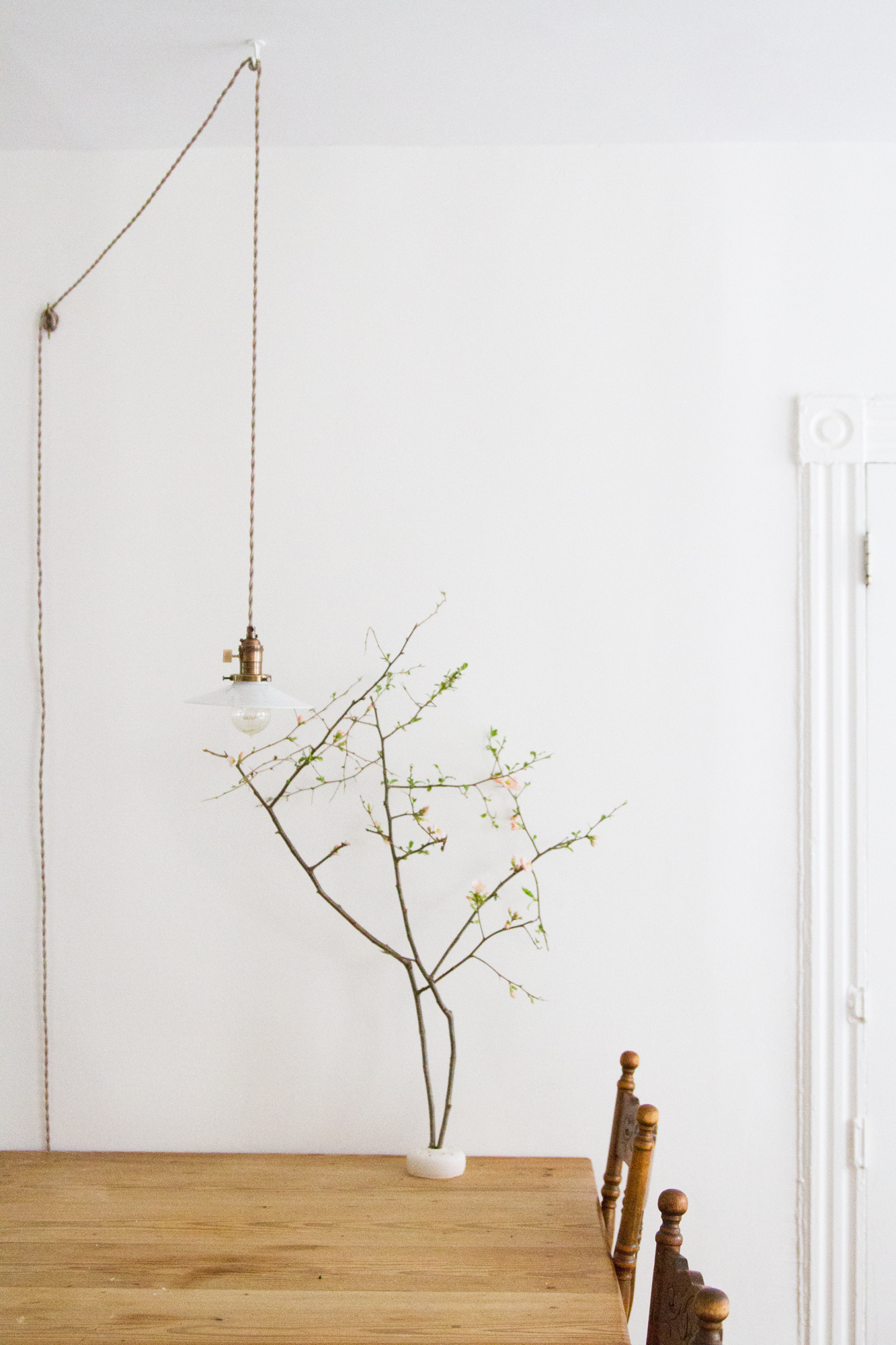 Reading My Tea Leaves