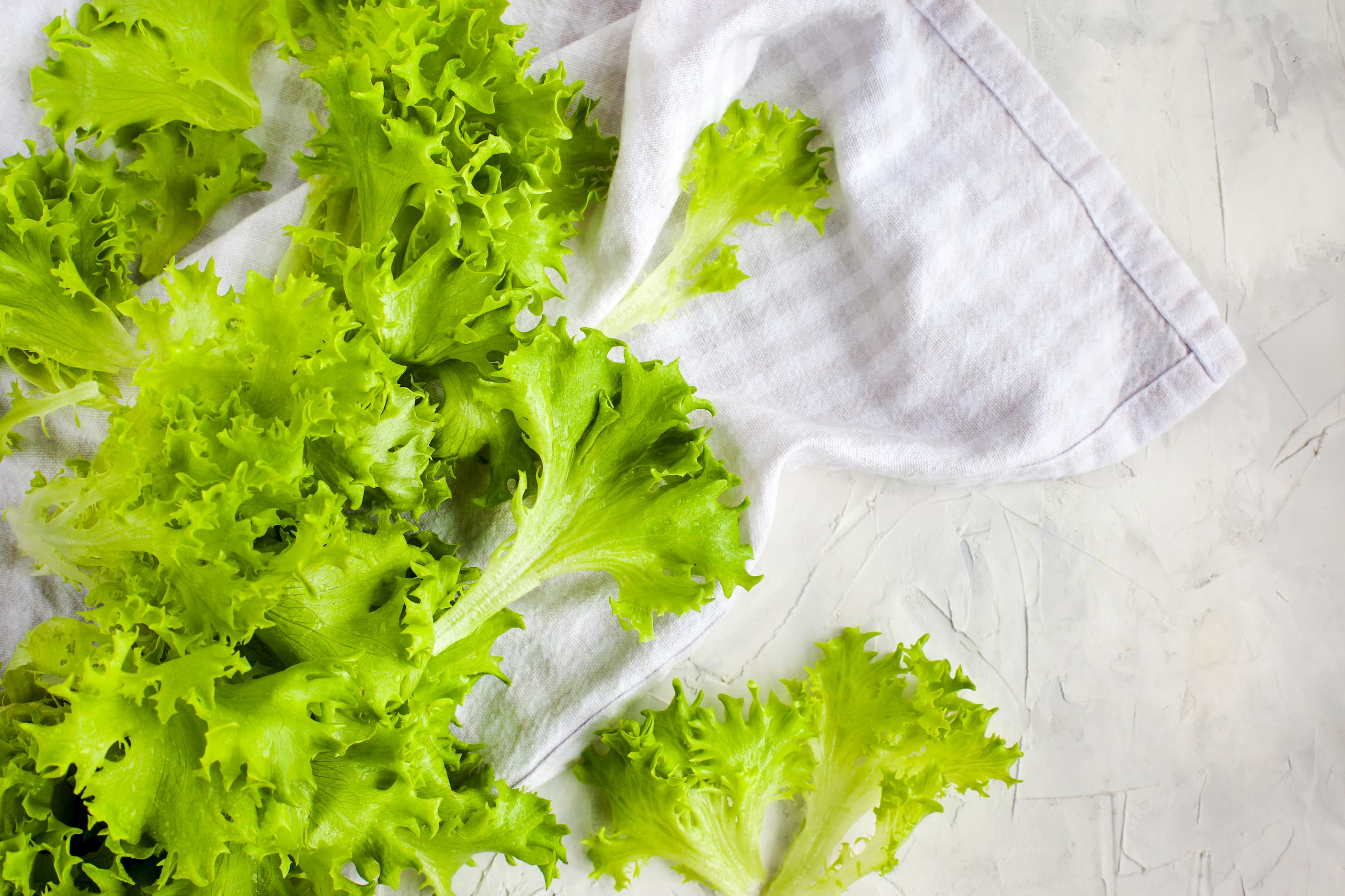 fresh-raw-green-frillice-iceberg-lettuce-salad-on-24MDX5K איך להאריך חיי חסה